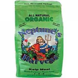 4 lb Bag Kelp Meal