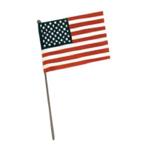 American Hand Flag 4
