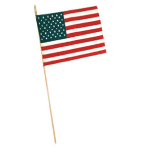 American Hand Flag 12