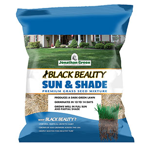 Black and Beauty Sun and Shade 3lb
