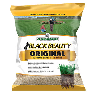 Black Beauty Grass Seed 5lb