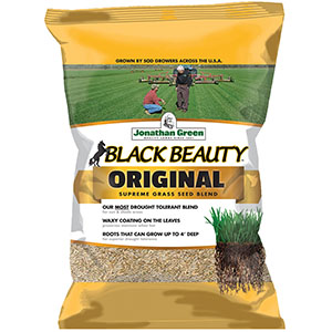 Black Beauty Grass Seed 50lb