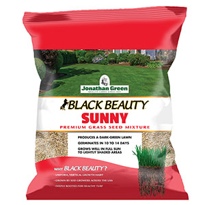 Black Beauty Sunny 1lb